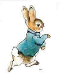 Beatrix Potter rabbit