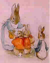 Beatrix Potter illustration