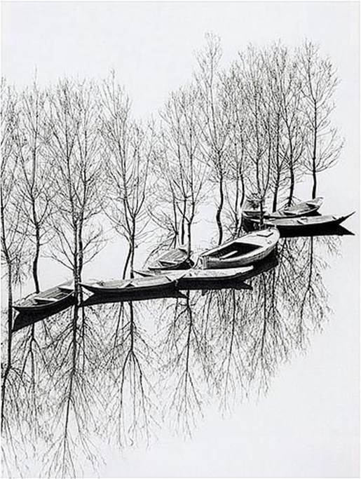 Toni Schneiders    Flood at Lake Skutari, Yugoslavia, 1971